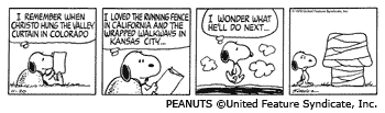 Schulz Comic Strip